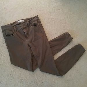 Loft Olive Leggings Size 24P/00P